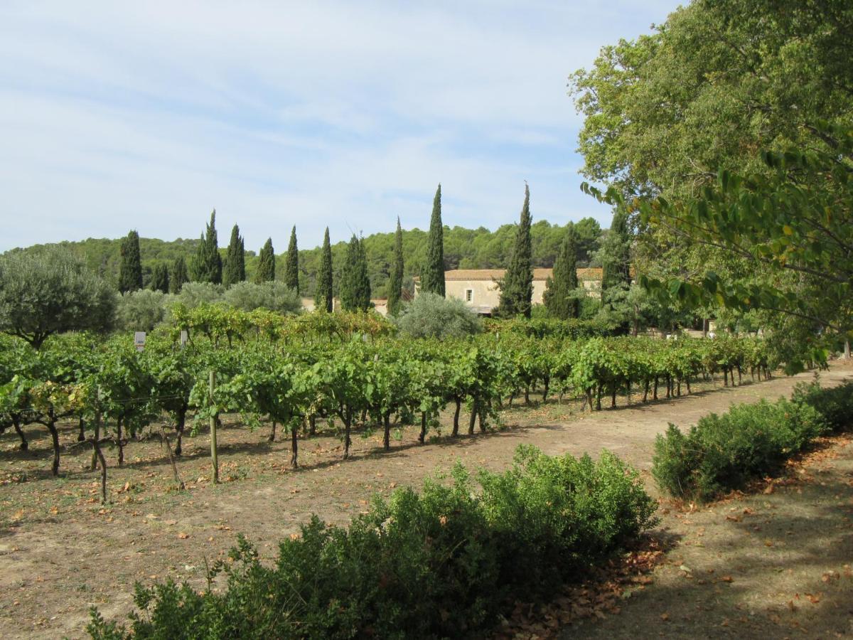 Charming And Quaint 2-Bed House In Marseillan Villa Eksteriør billede