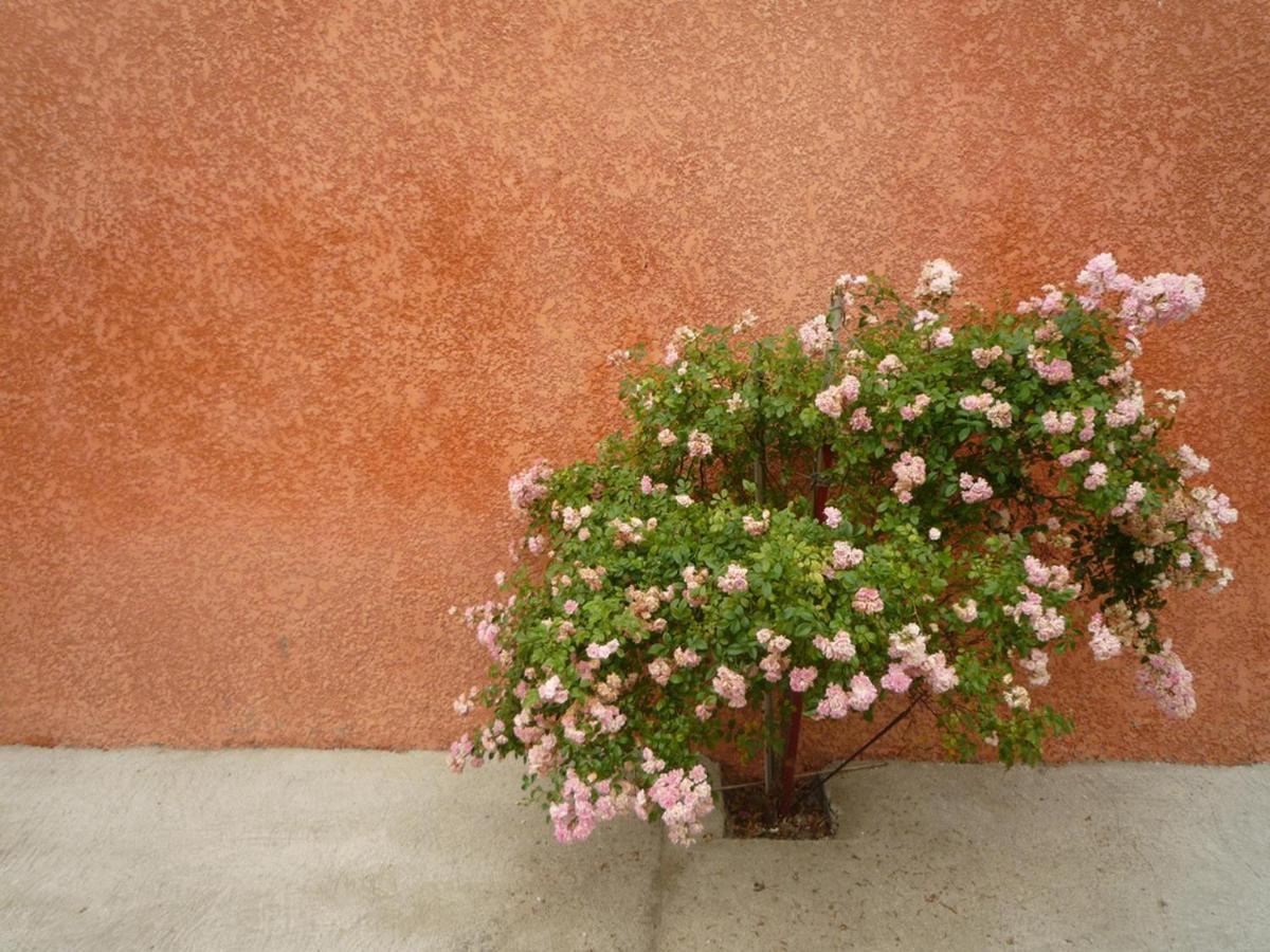 Charming And Quaint 2-Bed House In Marseillan Villa Eksteriør billede